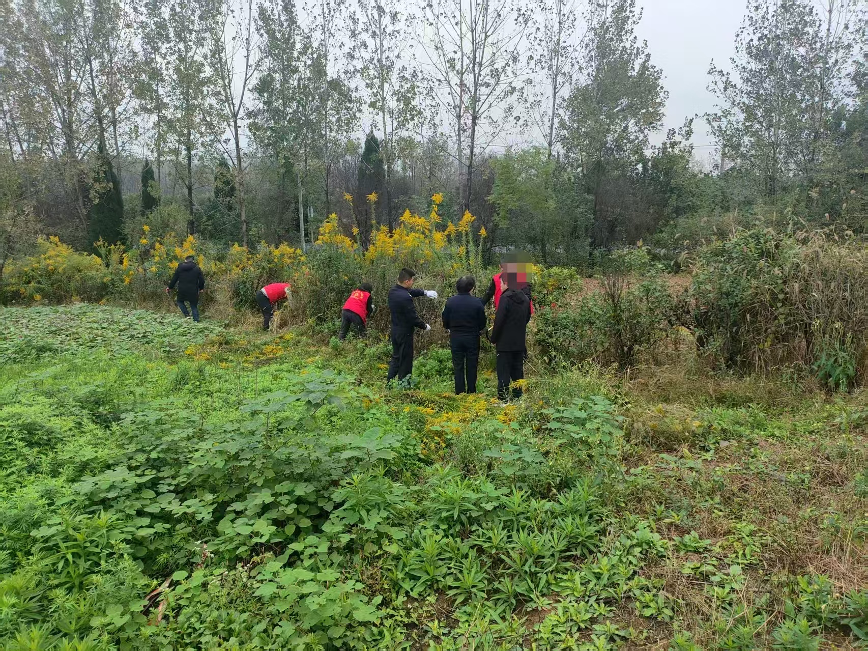 0e0a203d7bb6e76223eb4a003b4f608b