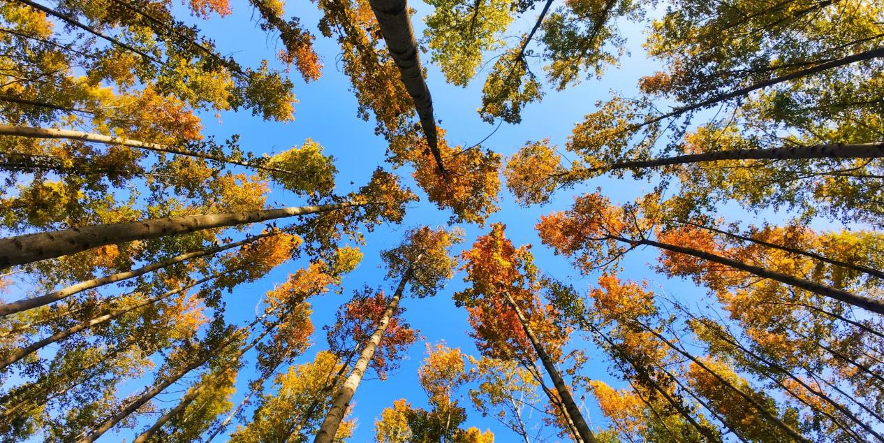 2b6cda297b7d39b5e8916ad21931eae5