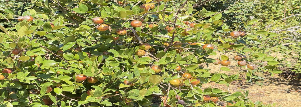 763fa24b1b83b4e14818a81c27169753