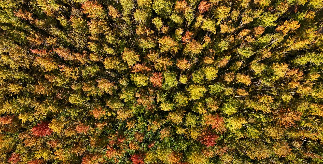 6d986b8889d90b68979203ce566a2671