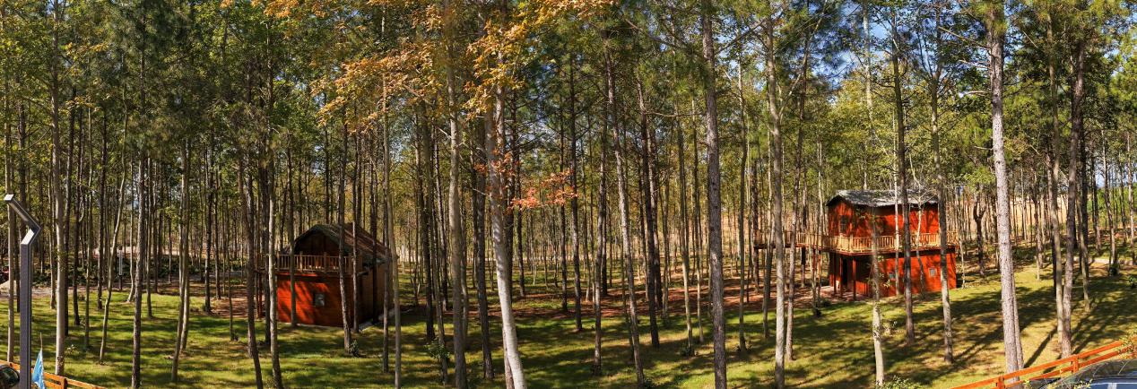 45b80b98e3216c8bcedef9447df7d8a5