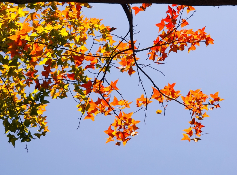 dab6b077d957da0393e41fdfe1a8bc15