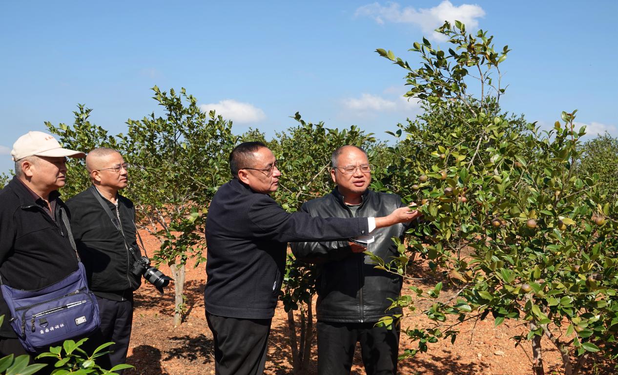 4ac0698979b93329f52937b2346356d1