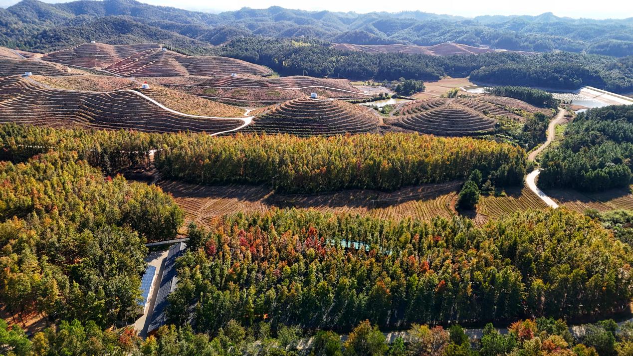 babf8c5b32aaa4406d7147fd2f0bd62b