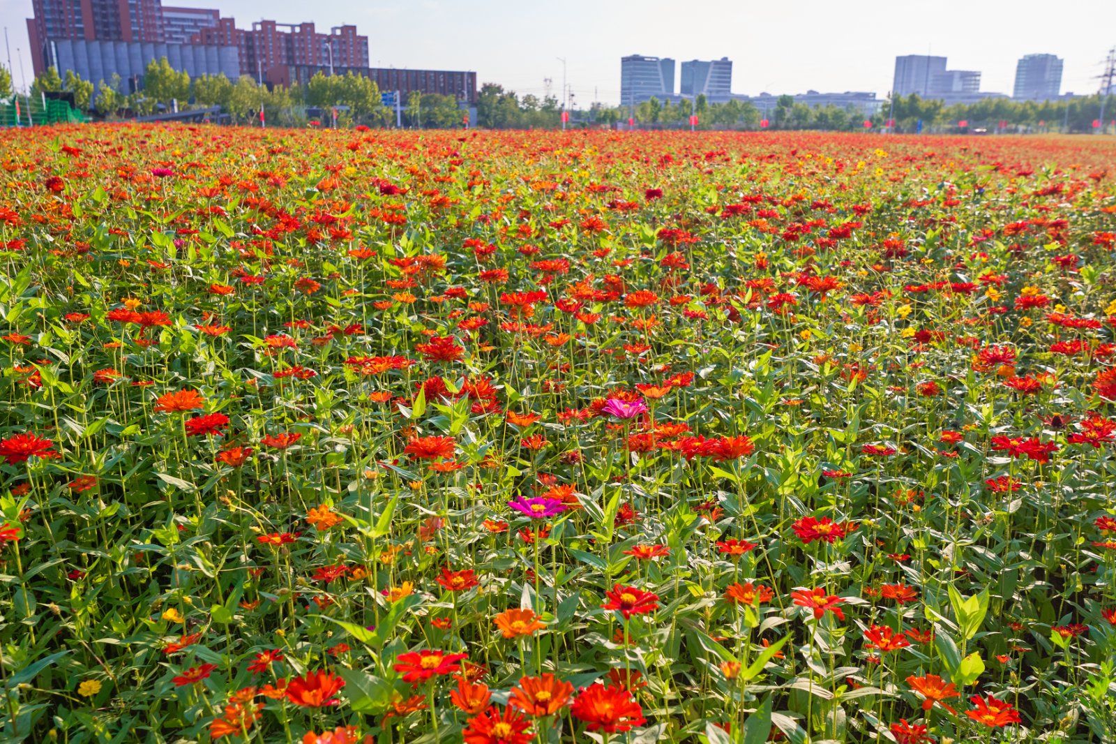 0f6706bfckf2c314c60ab8f49c37a1e2