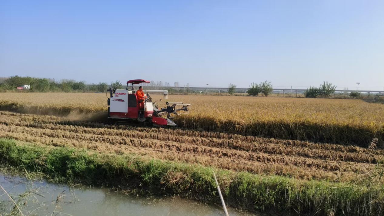 c1aaaf04836e8f9740828521a9e2d85d