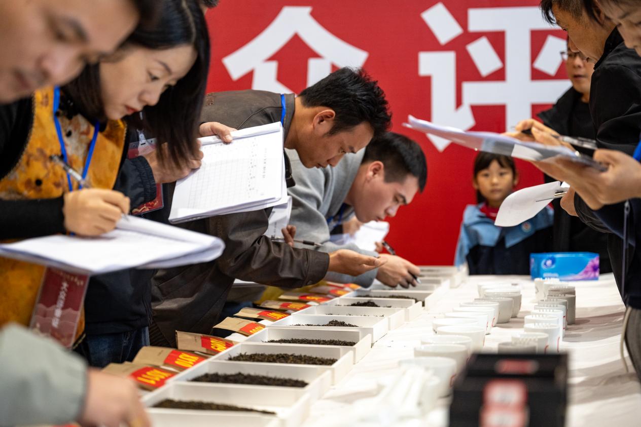 微信图片_20251031135015_18_5