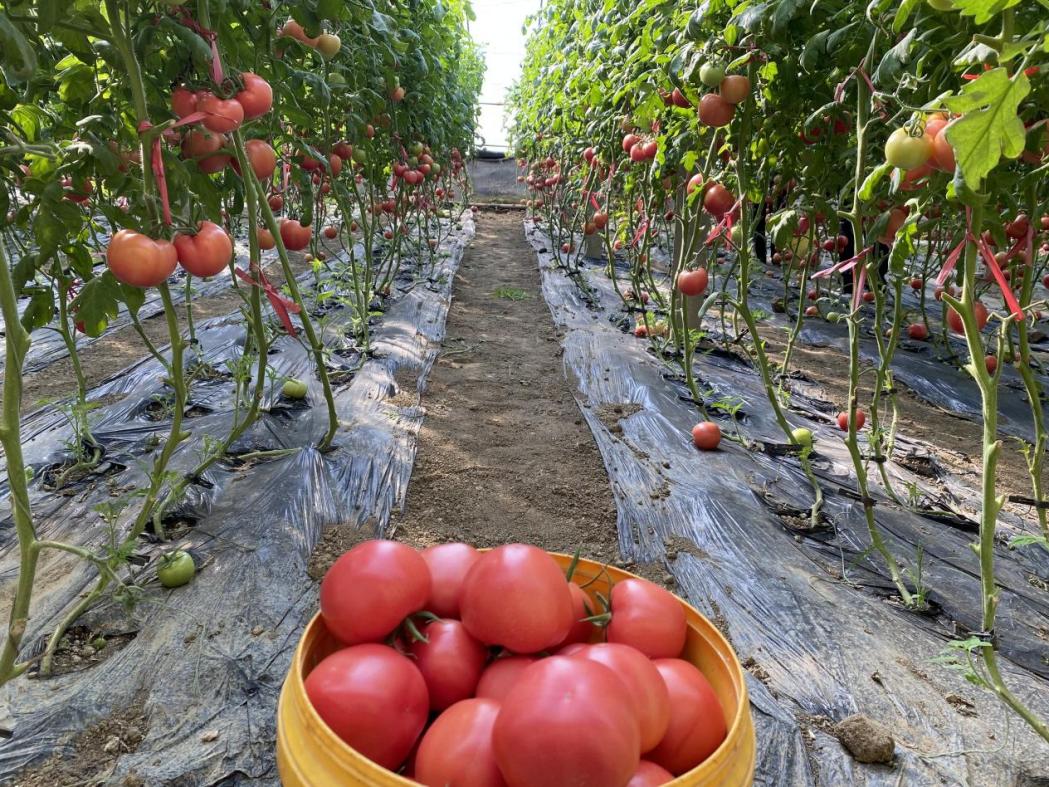 微信图片_20250115160340