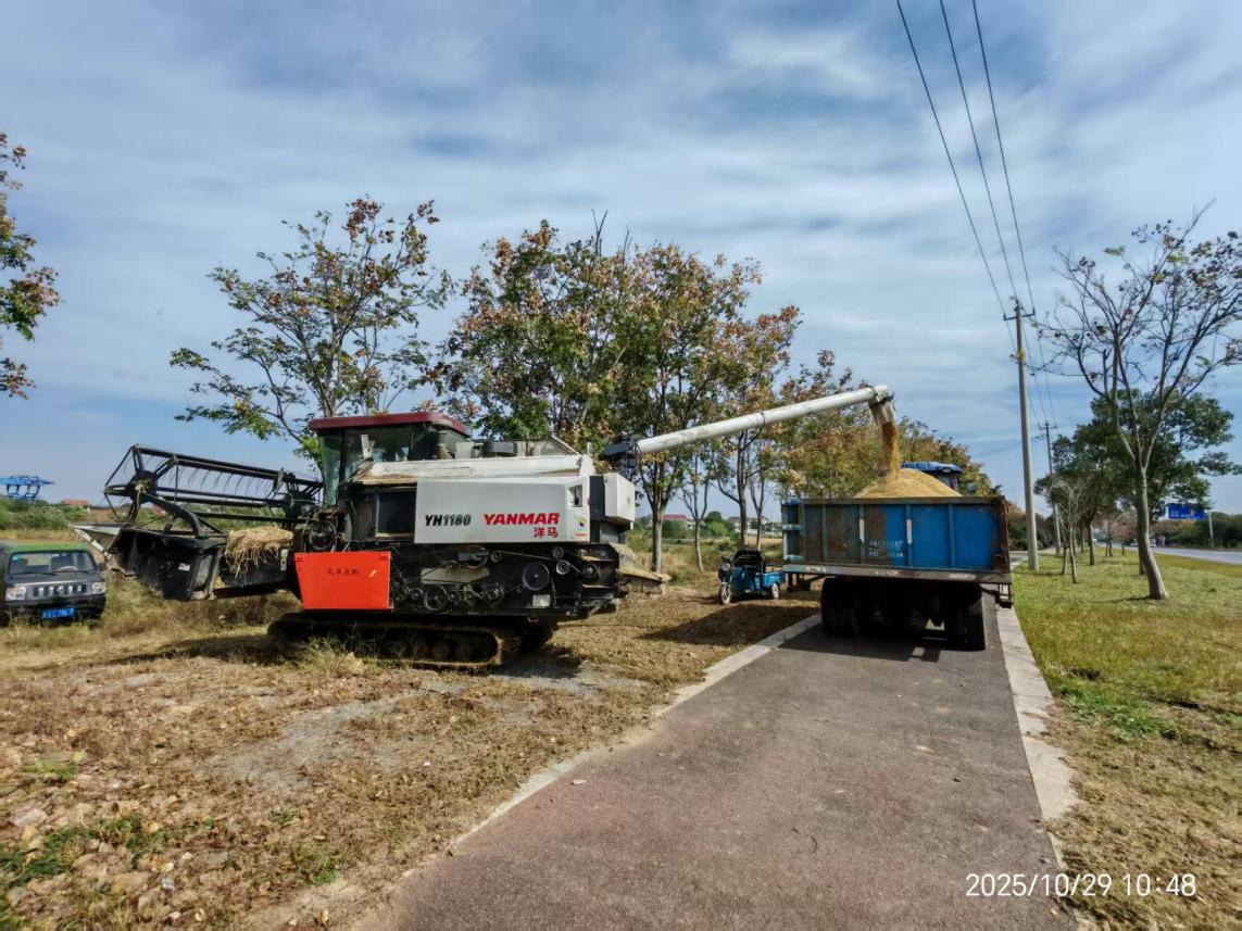 0af1dfbc0082185e0b28d1bb0ad974fd