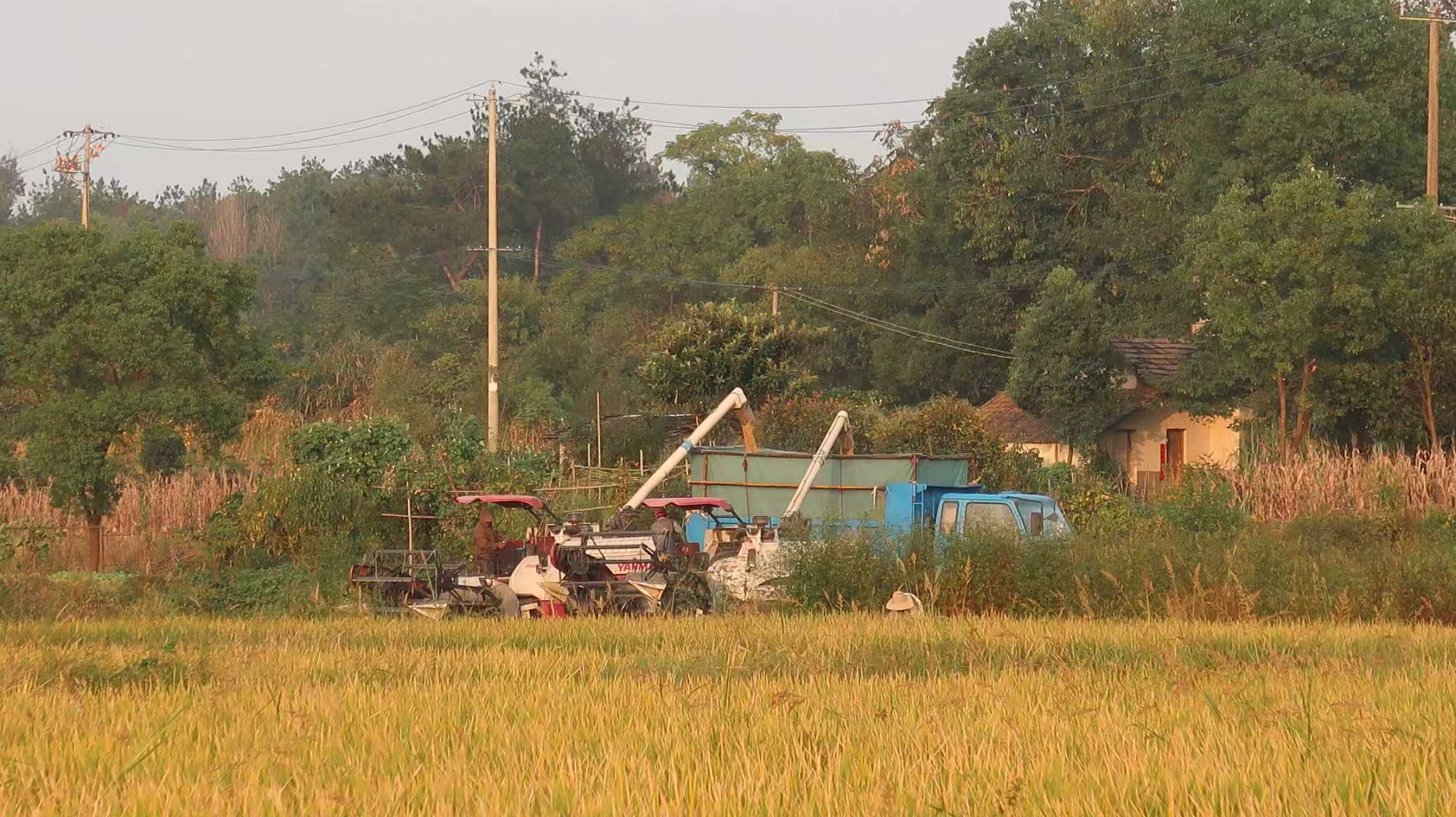 b0a4b2c47ee10dcf5da7faa4f1470e5c