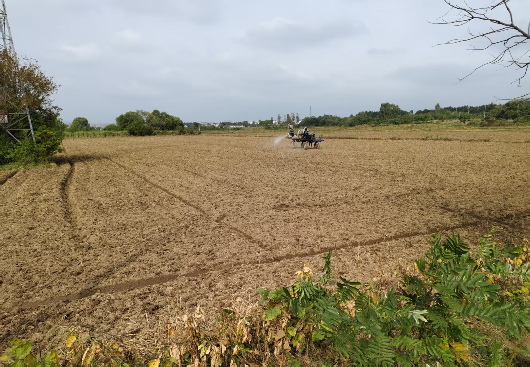 f46432a2aa2c97b7e51382649a1a6503