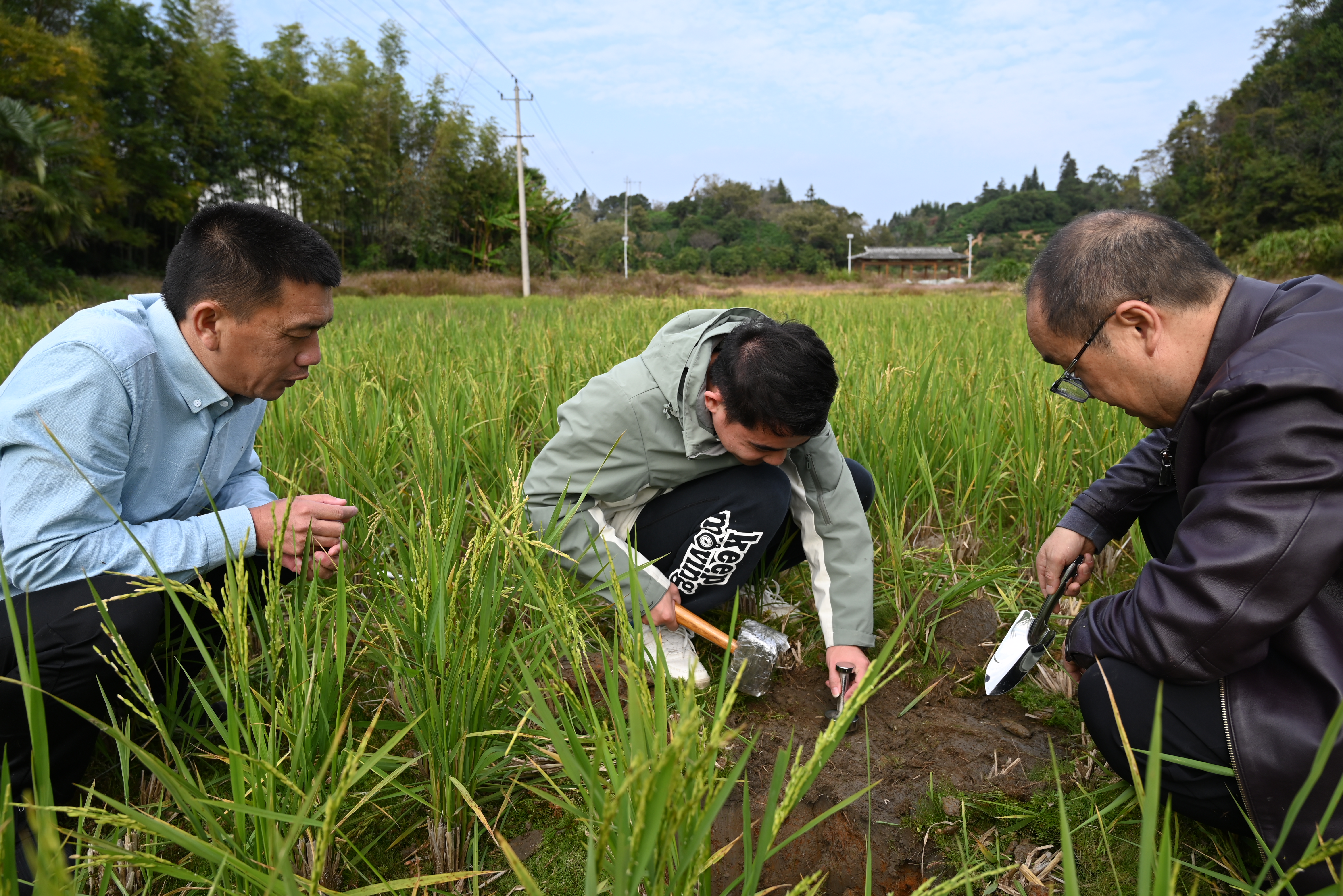 9d1609ff2e5ab1ff78eb593ddee28431