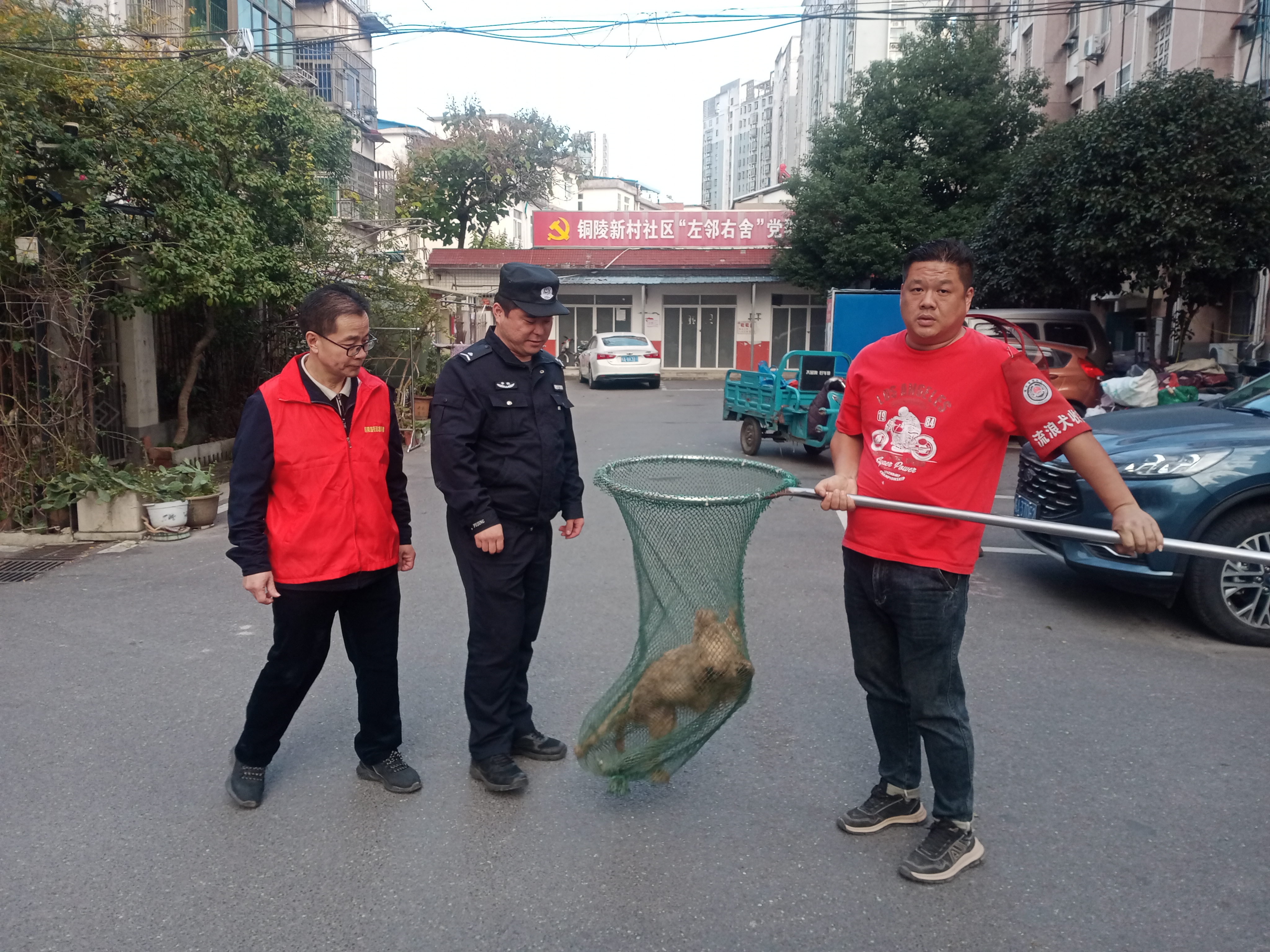 8e808ac52c626ab43db05eb0280d508