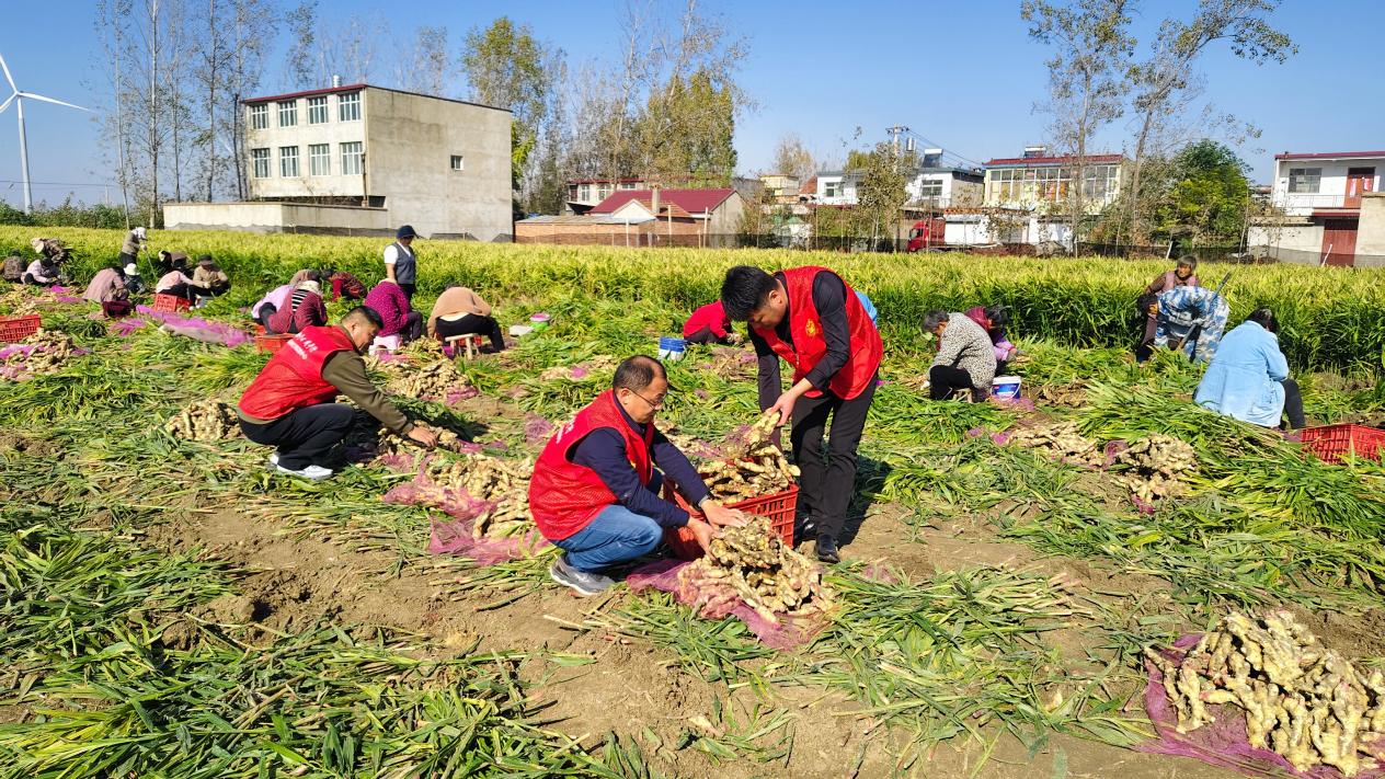 68a78d077809d78eb0b057a69e1331c9