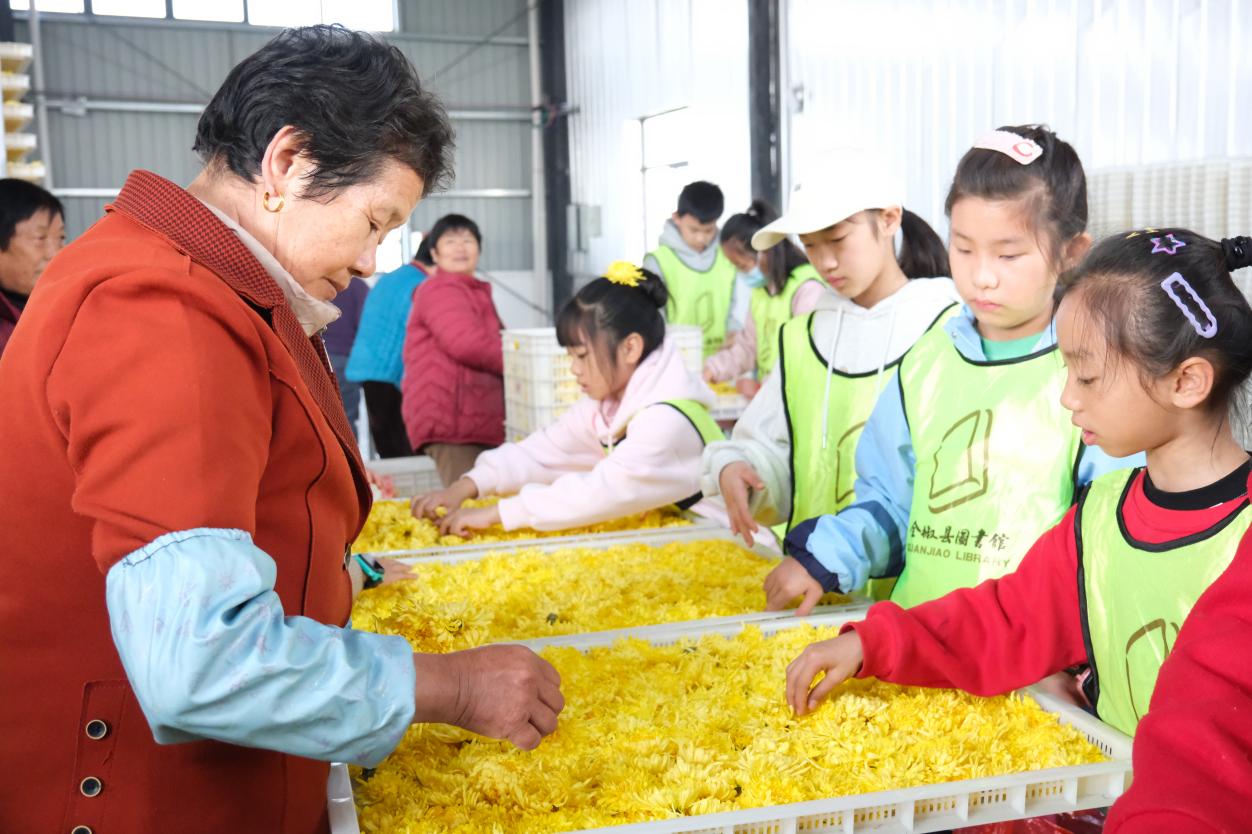 3a6cc919022a8d564d1bf012a52d5980