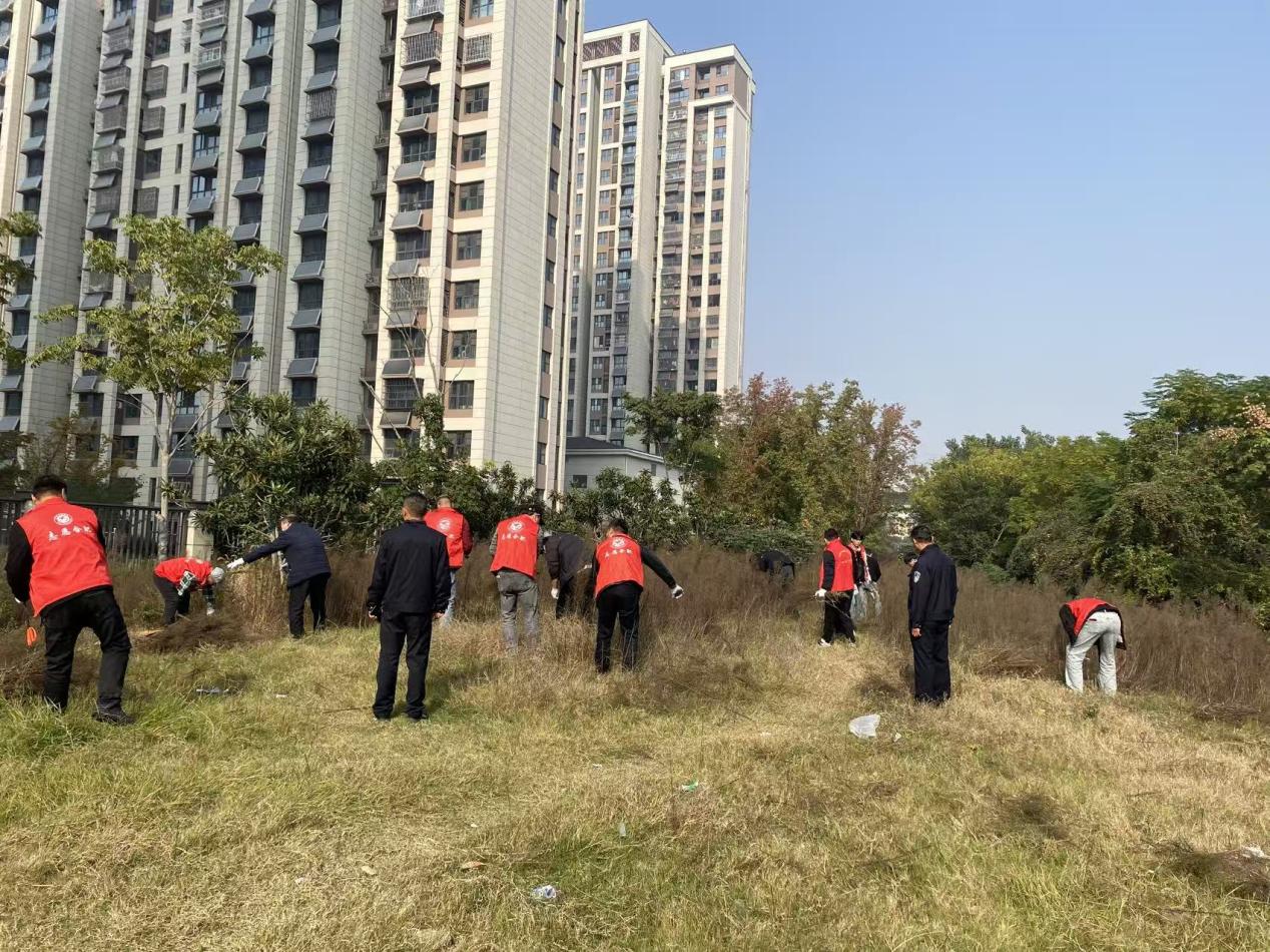 96f952b4939300bc877dee0869968742