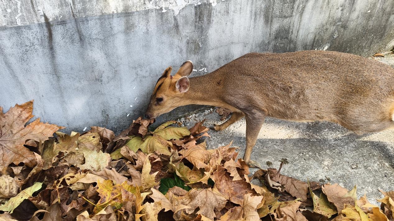 1b971a5d6ca99234ffb09ffe79745cf6