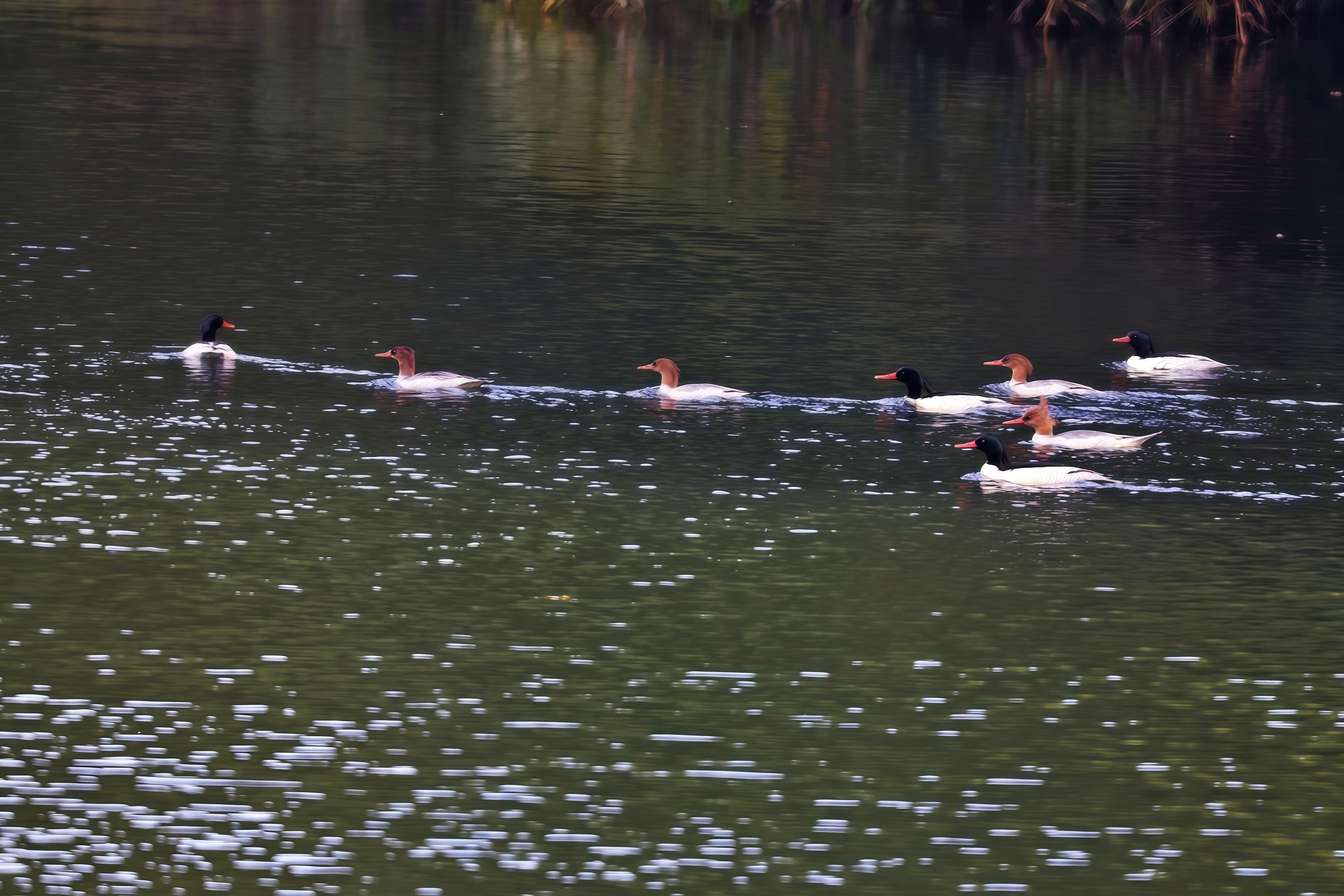 7bfac4f2fcfc531e5f5b940458a688f8