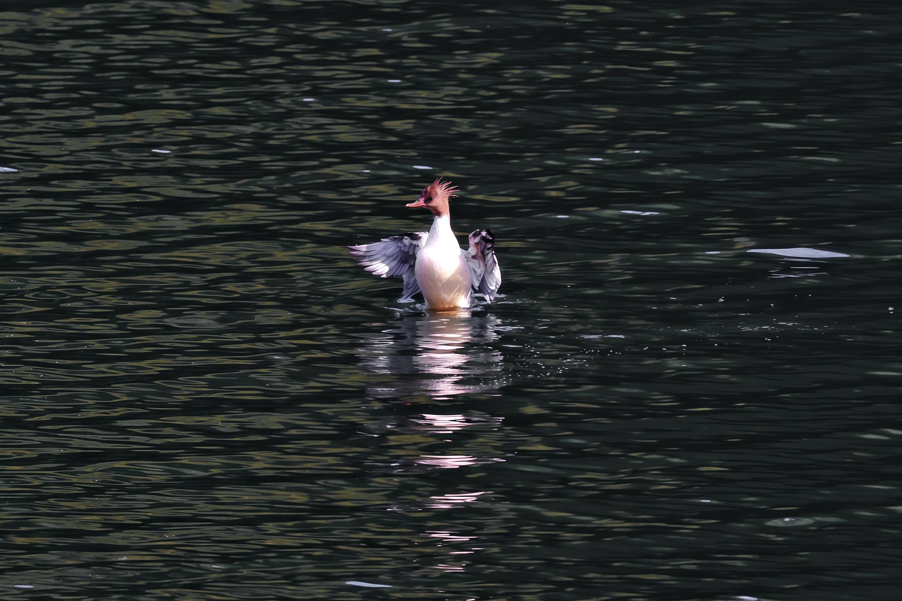 2245dd5c0a559bc61a5d047214496b2c