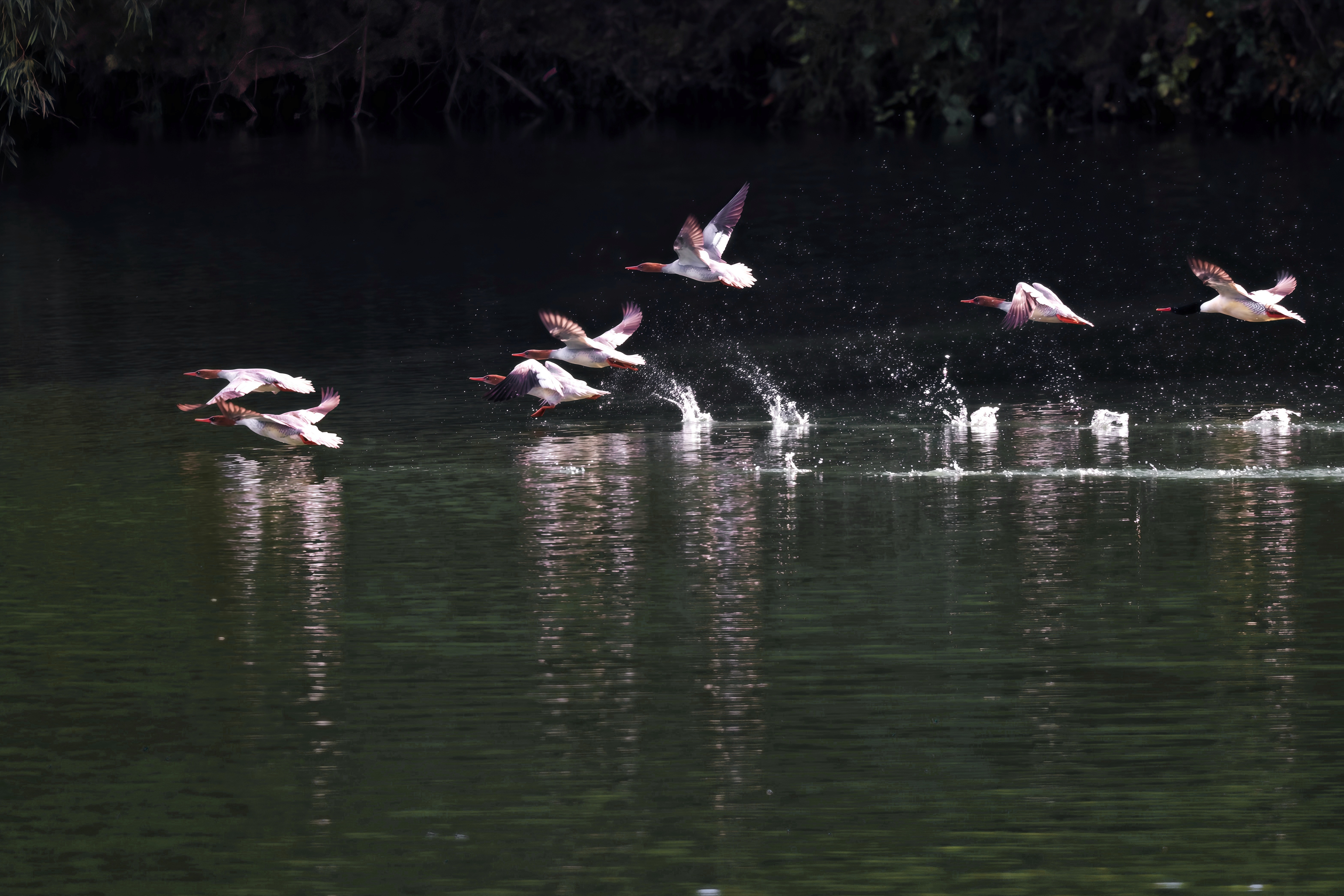 c726a945c067e9a2e16b1adac87227df