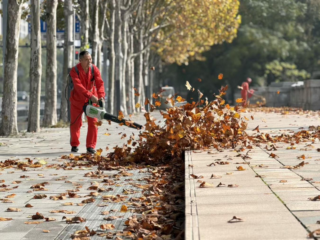C:\Users\dell\Desktop\一城风雅，满目诗画高新区落叶“扫”“留”奏响秋日协奏曲\微信图片_20251118162153.jpg