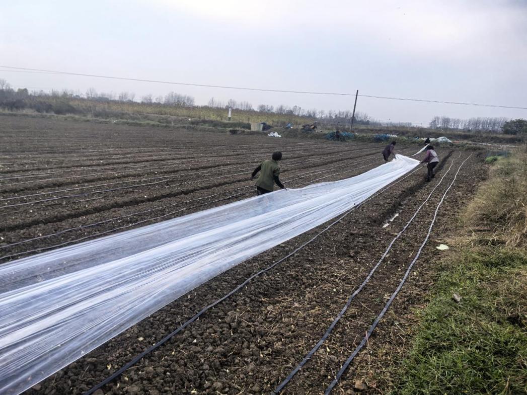 195cc583ca2d96426a04fbfa6fd6d637