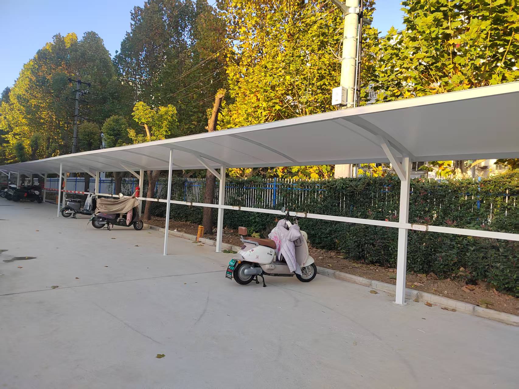 40b55f6473fbf8795c0b4b65ed1db7f3