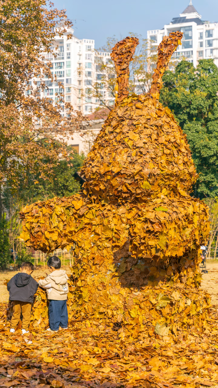 62911f5420f61b29f83244f8cc67d39b