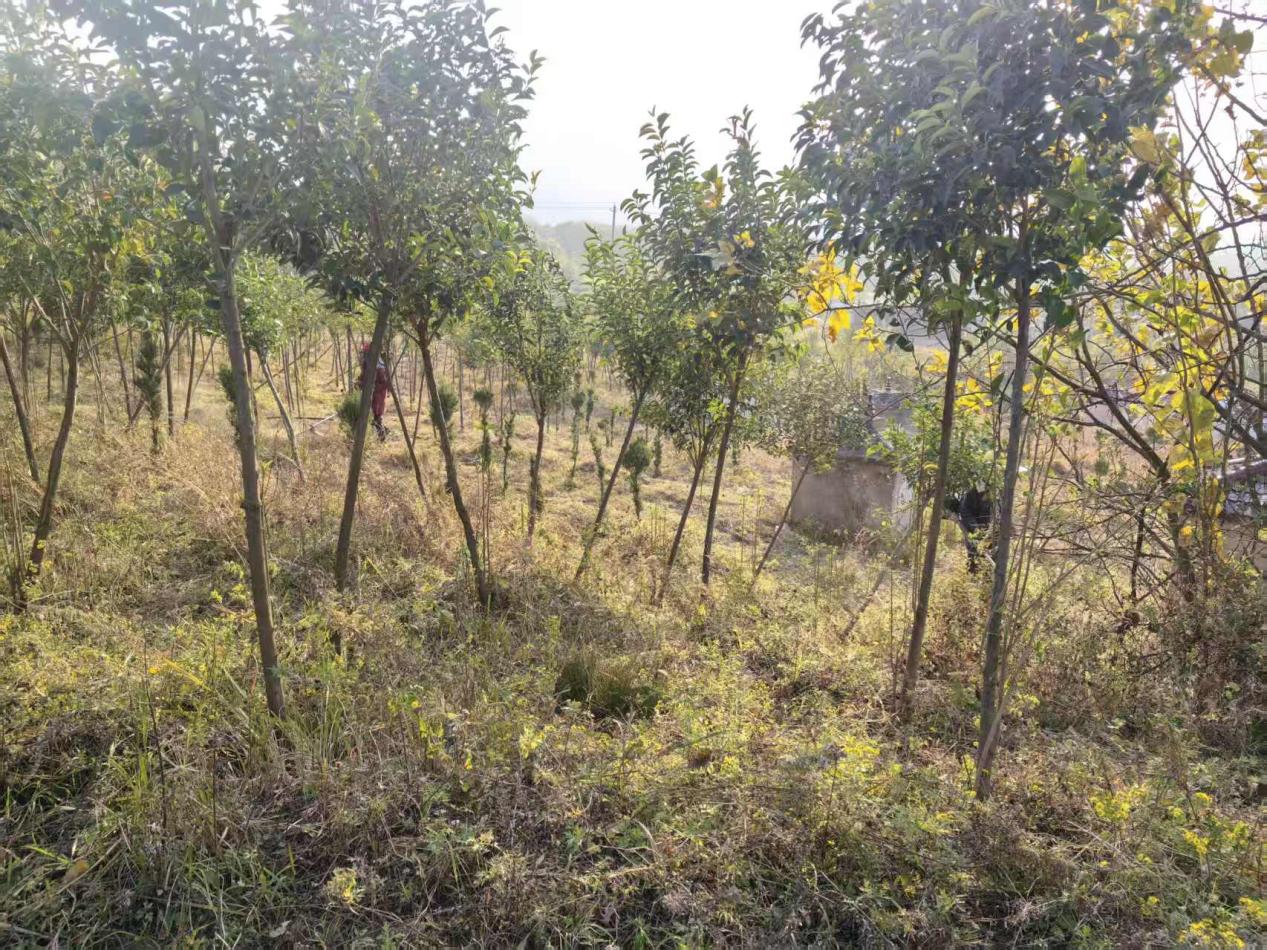 cf3b26986932b144c8d8c379f0158016