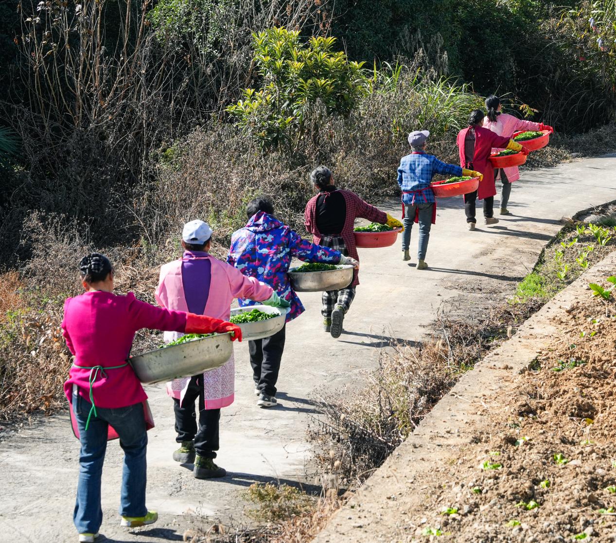 9ab171330a863beb6ad559e1db80df0f