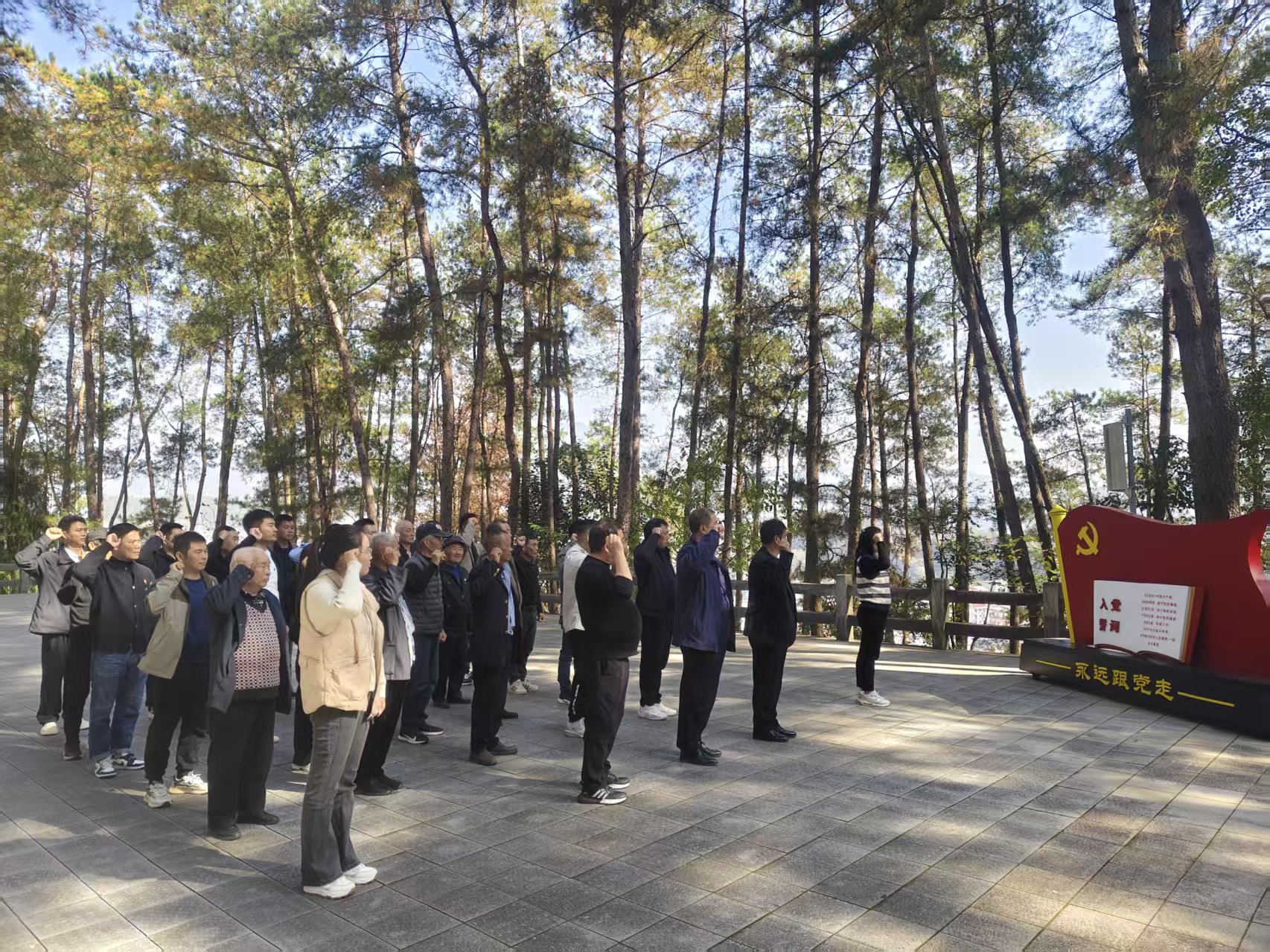 97c981d4cd121b075345cca739b401dc