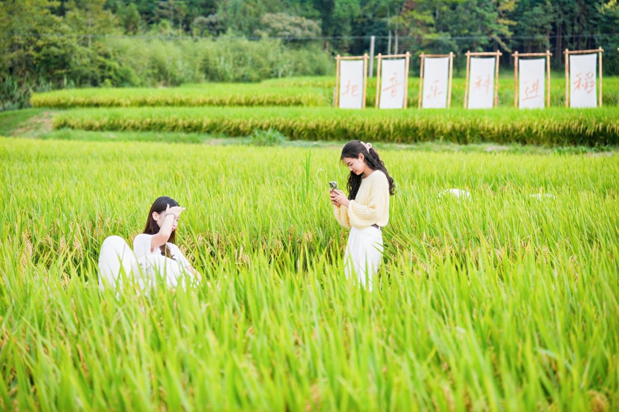 P0109842-opq4009983351