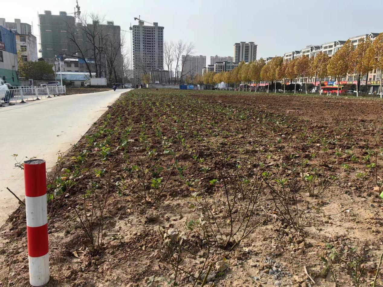 644cbf41661eb961fc36bd192a3dbdce