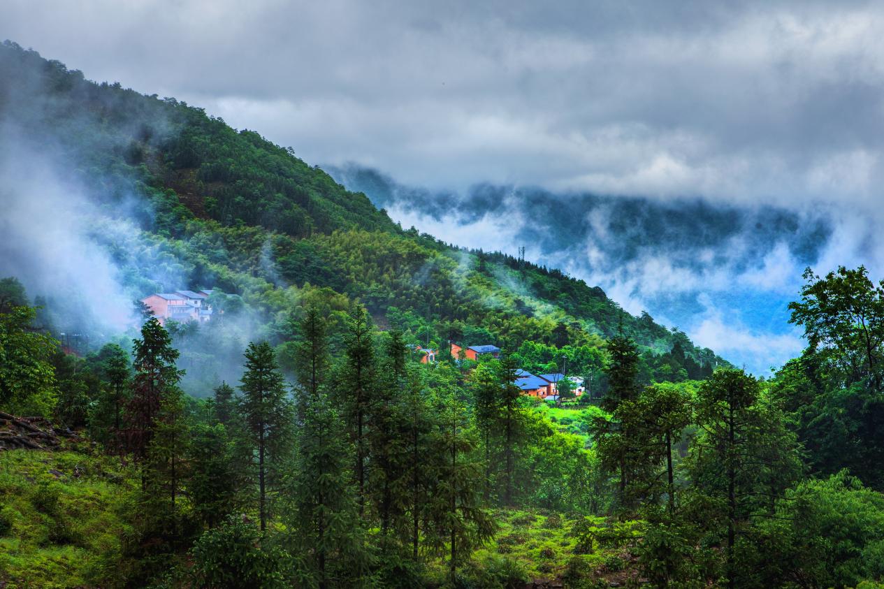 微信图片_20241118105140