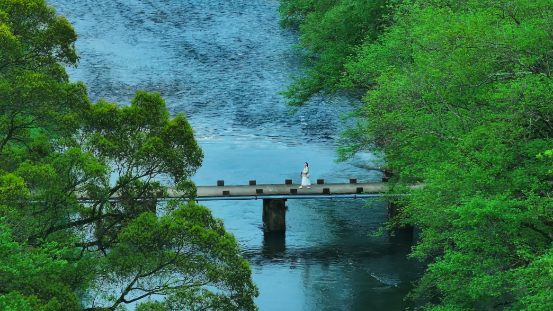 微信图片_20241118105215