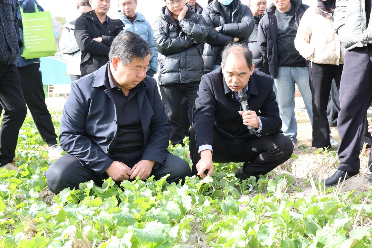 90dae73e16c07d5377d864bc2eeade75