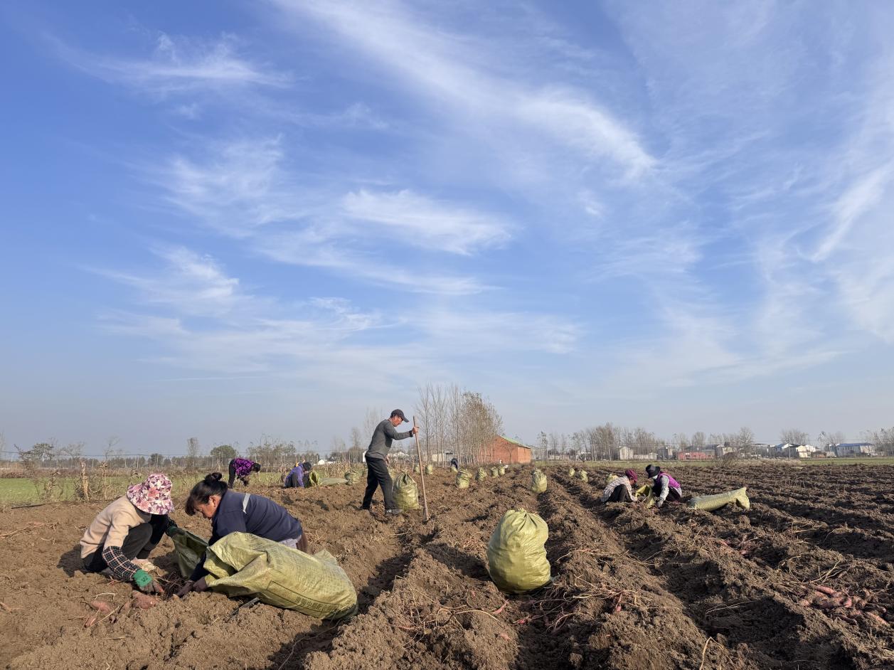 789f7dc50cadc58c23dad1b27ad50212