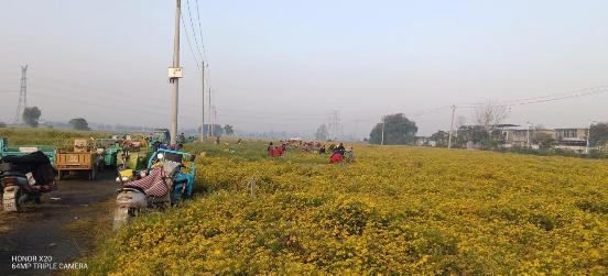 972A3E61@8C3B2901.0753266900000000