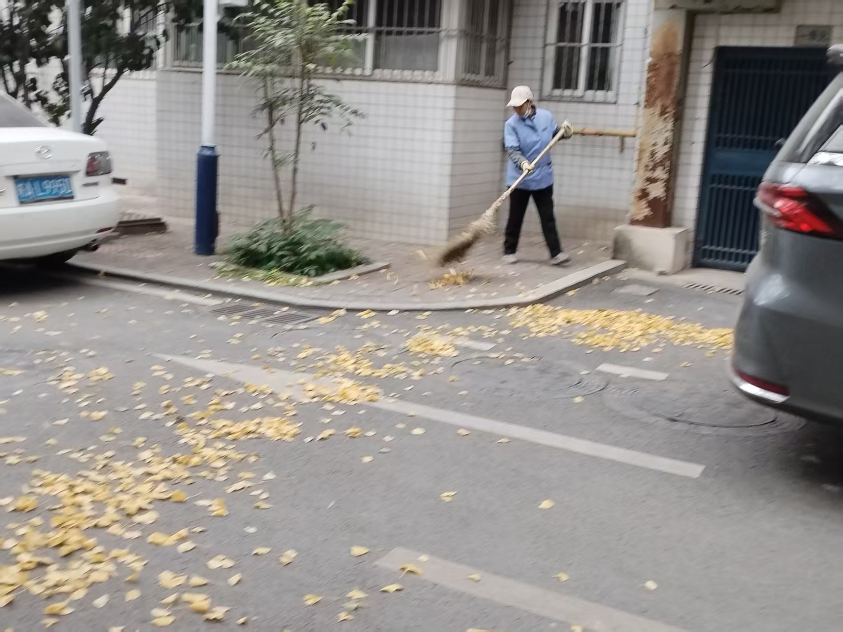 fa43c130d39a55c21d249b989c5e3f2