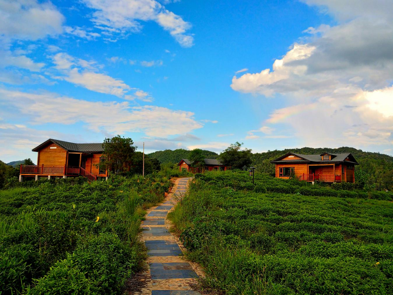 3e0aede1ff0756067683145f86f974f1