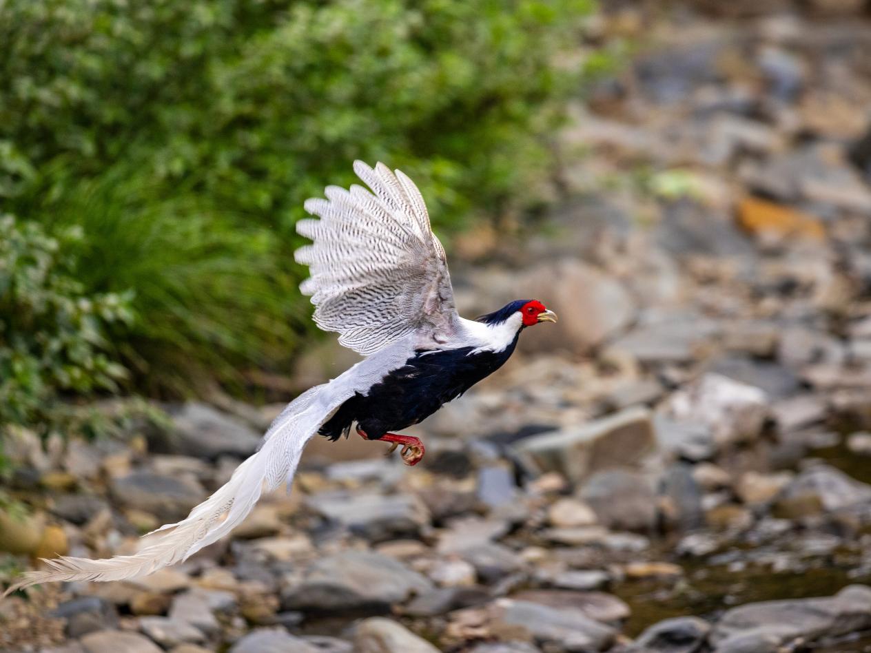 241743d7a5d63849f7d04dc8e9f12040