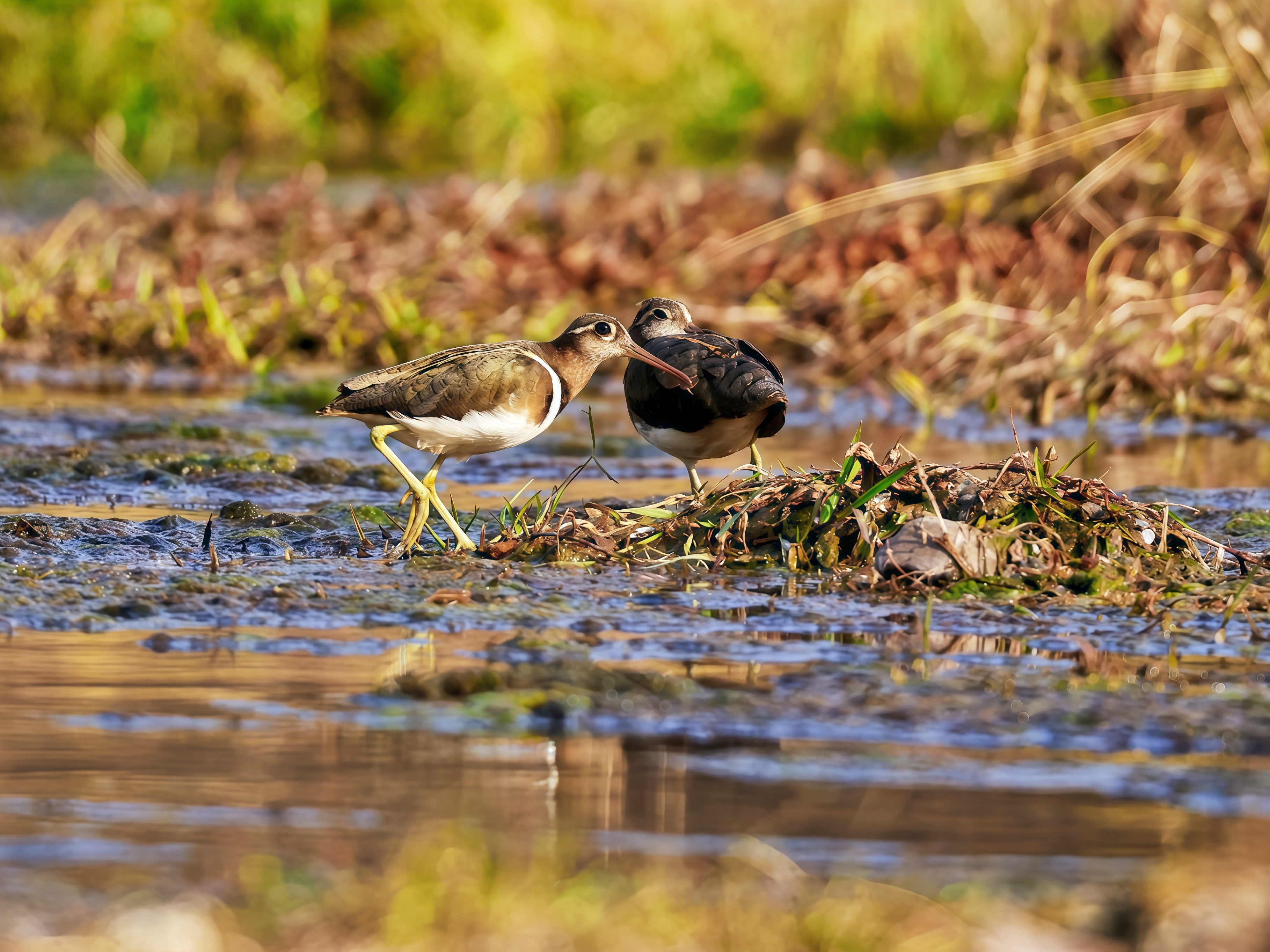 8f18d5656409d671a002aaa51feb334f