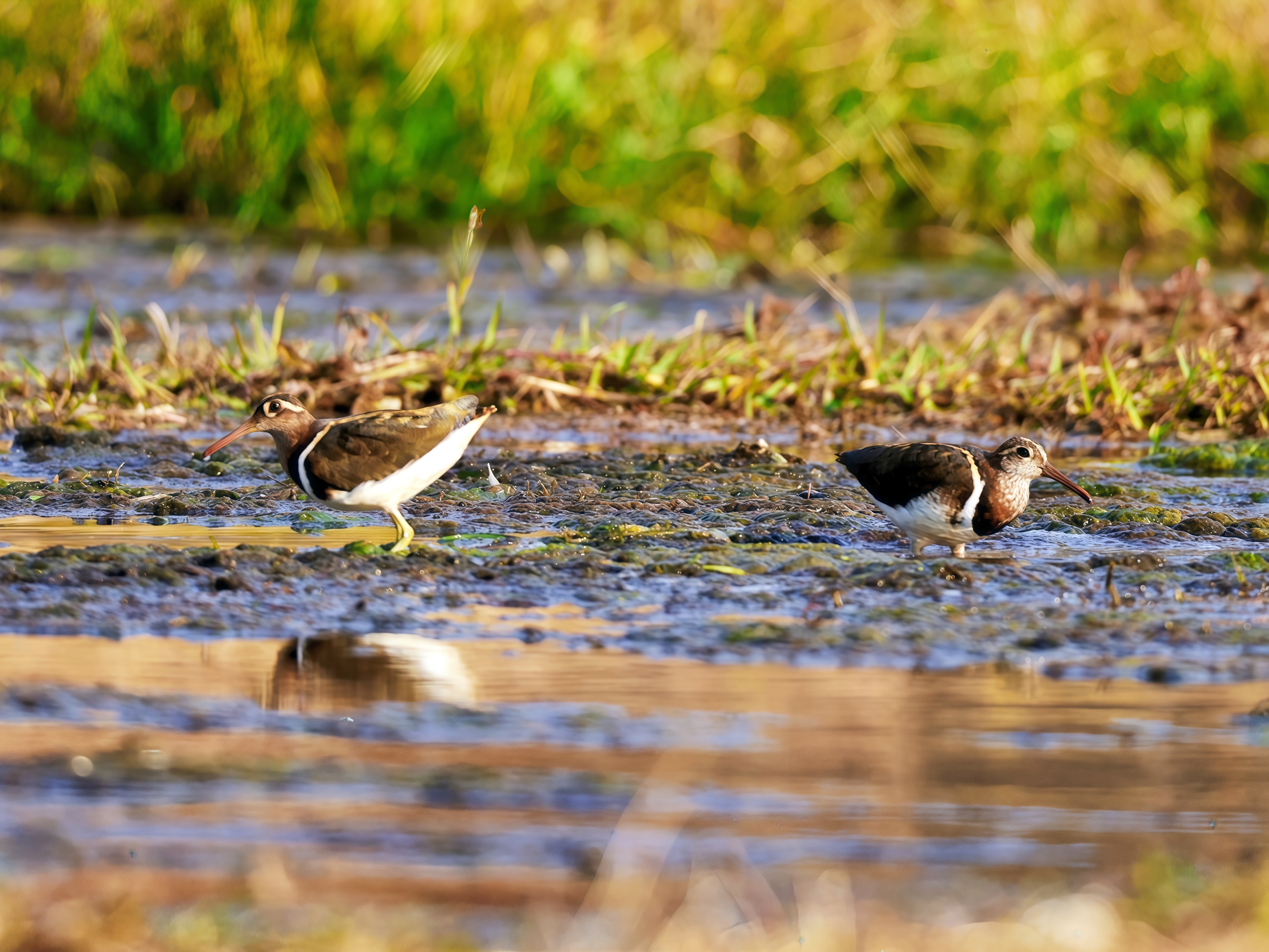 b968f830b8f109d74d44e471d6796089