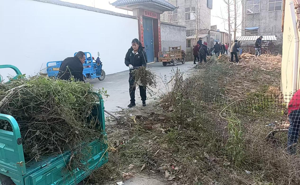 a703be208537f363dcbd4d495684f943