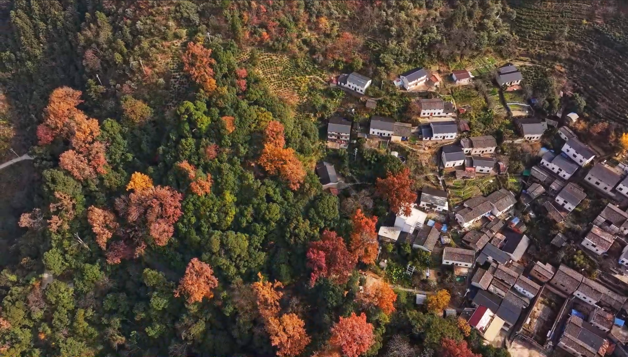 df1f2bb6a8961df87ae1d57edfcc8738