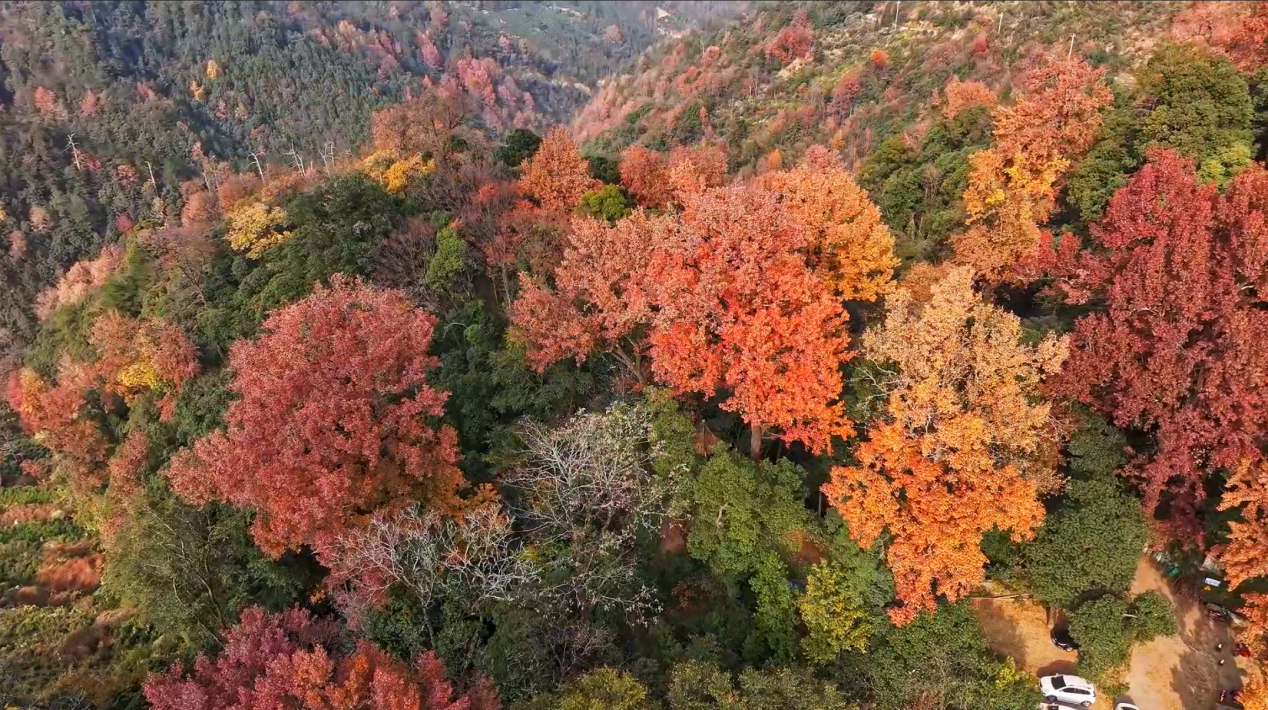 35c6a6acad18d5bd919ca97dea7038ea