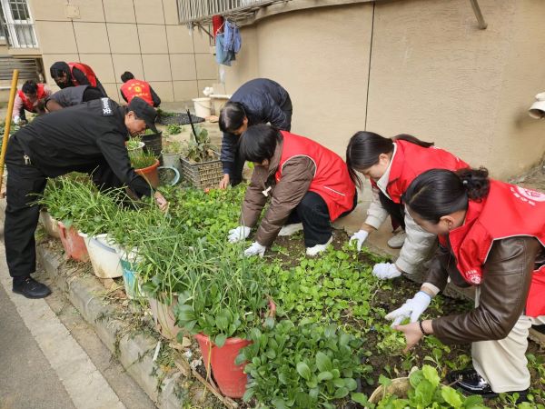 3C9FD9E3836B848E5EC57FC4B867DA5B