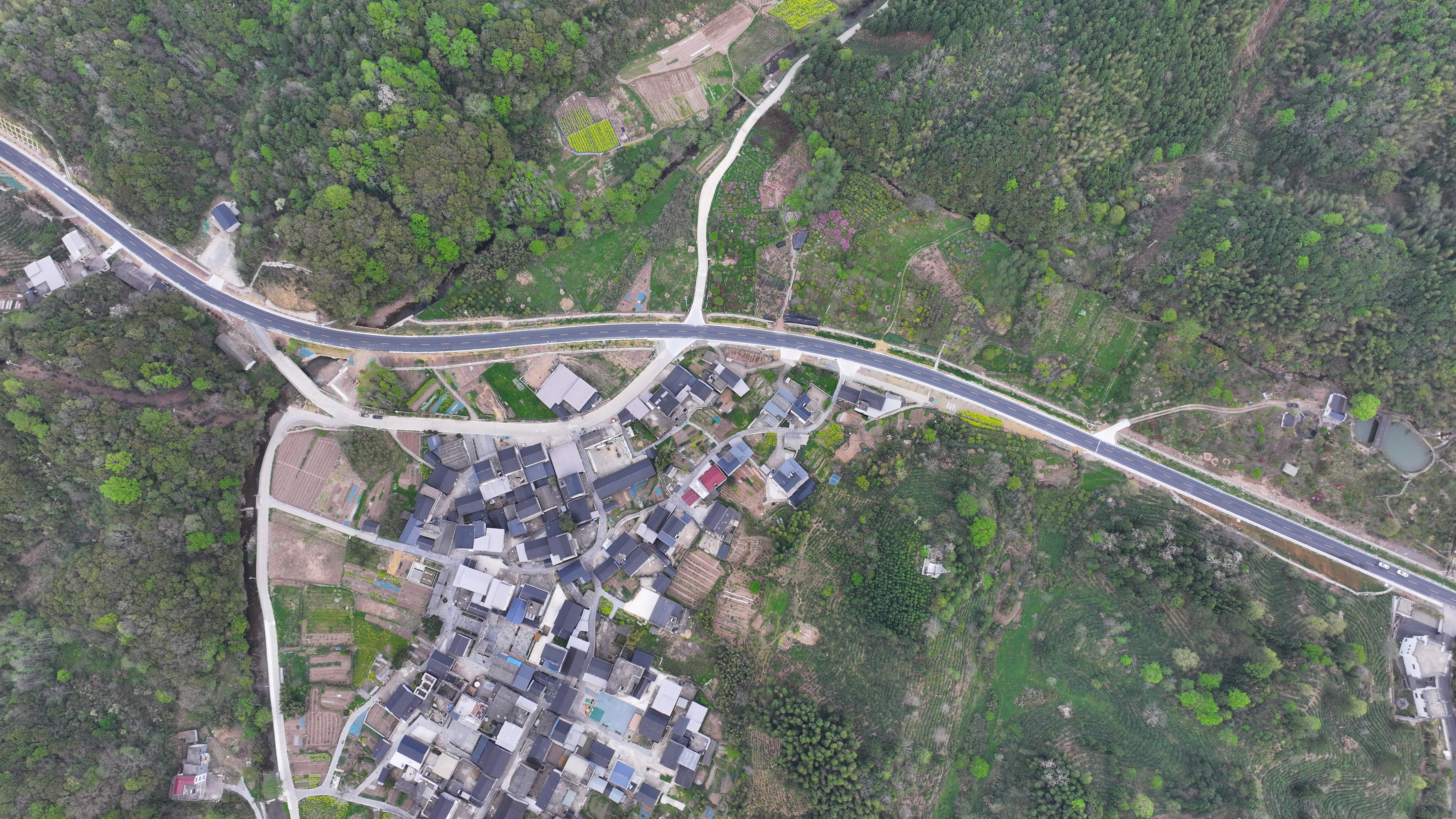 62e5721733ef1964ea53ff8974a50b47