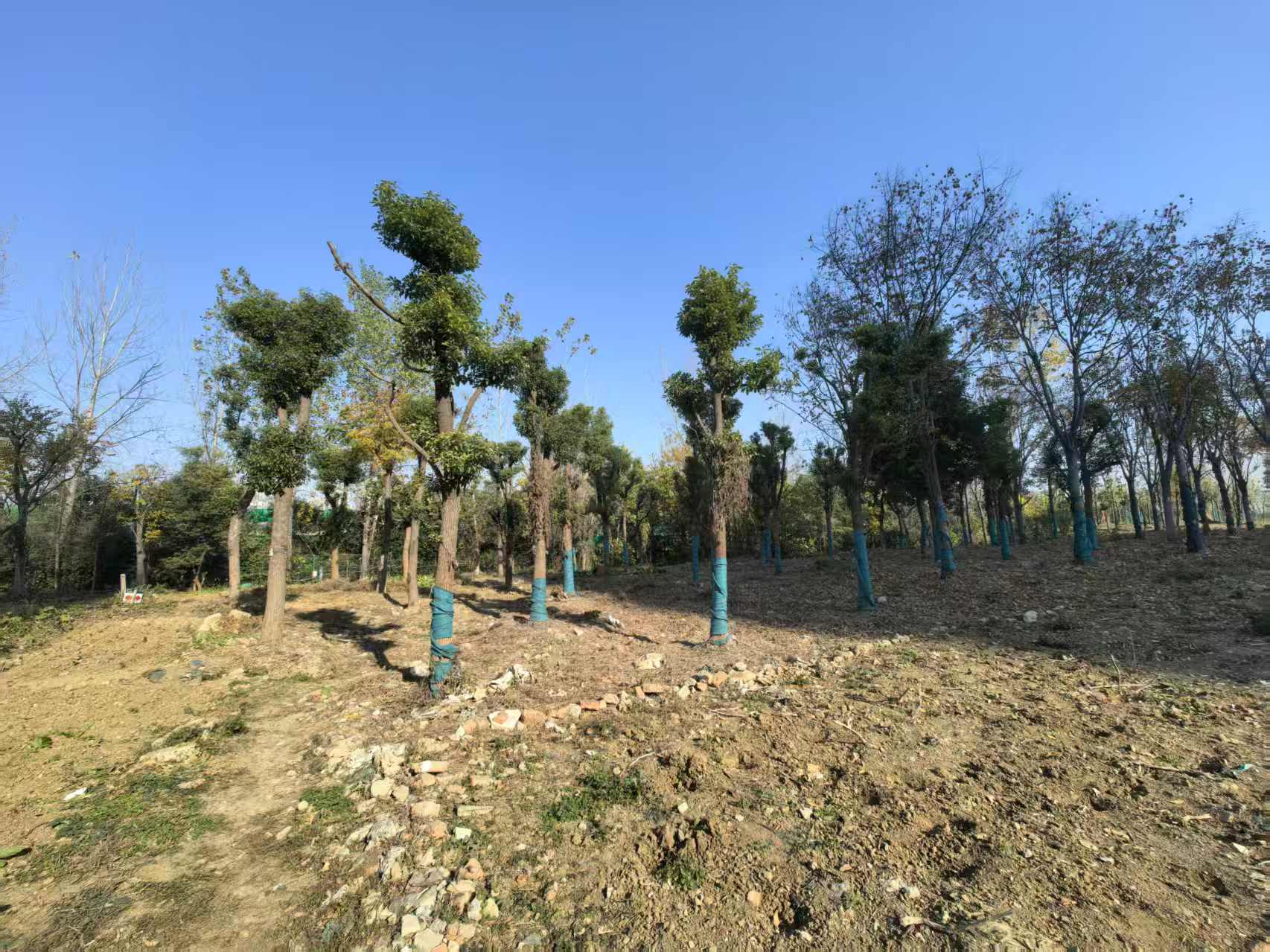 微信图片_2025-12-15_100129_575