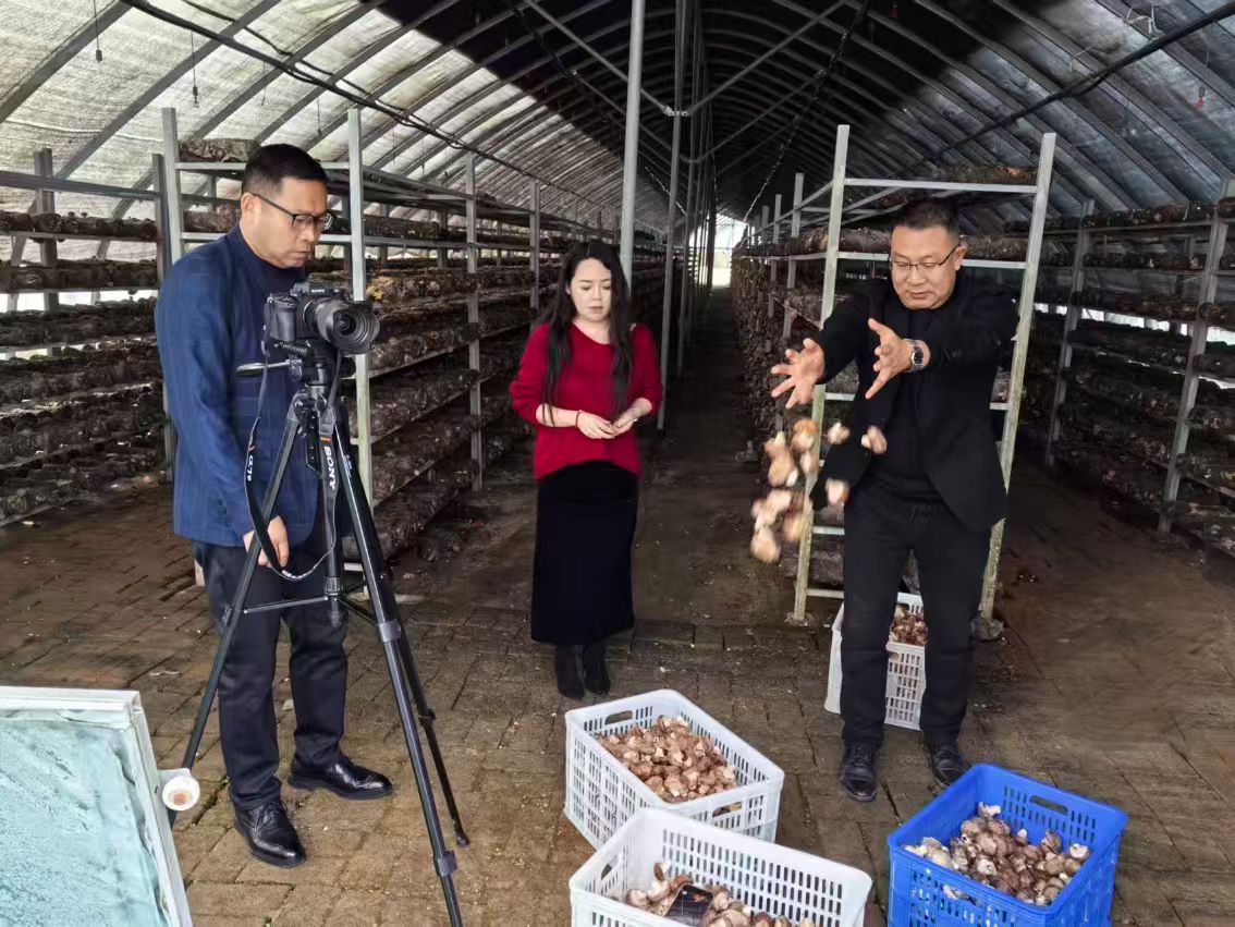 409b0be47713913835d3f9beeb02e39